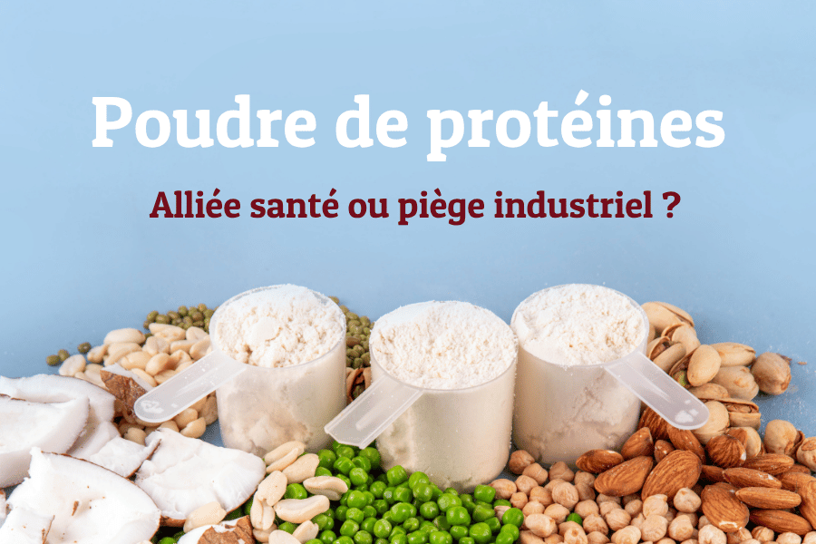 Poudres de protéines : alliées santé ou pièges industriels ?